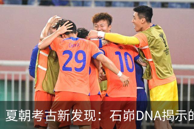 夏朝考古新发现：石峁DNA揭示的历史真相与挑战